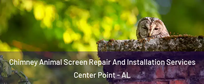  Chimney Animal Screen Repair And Installation Services Center Point - AL