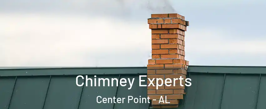  Chimney Experts Center Point - AL