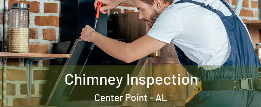  Chimney Inspection Center Point - AL