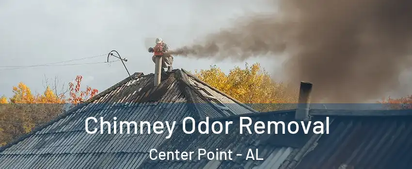  Chimney Odor Removal Center Point - AL