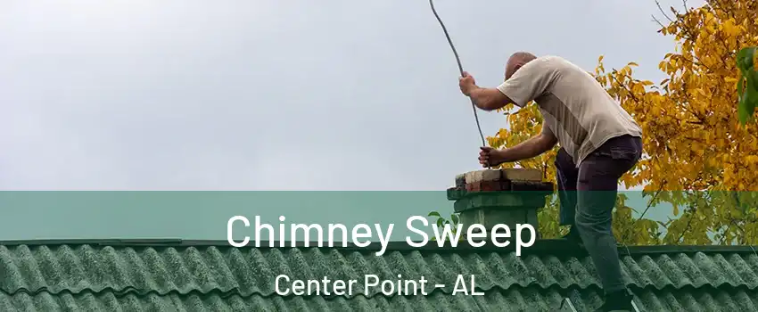  Chimney Sweep Center Point - AL