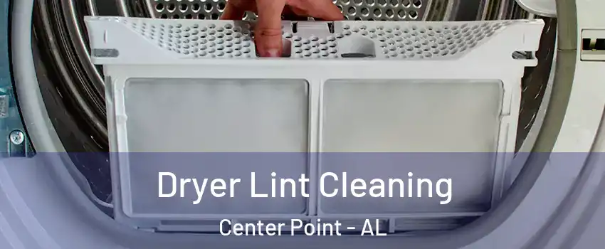  Dryer Lint Cleaning Center Point - AL