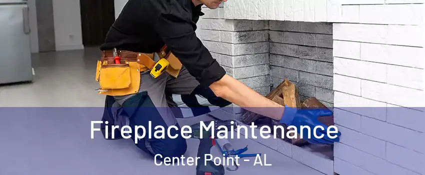  Fireplace Maintenance Center Point - AL