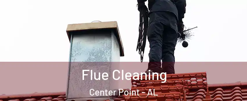 Flue Cleaning Center Point - AL