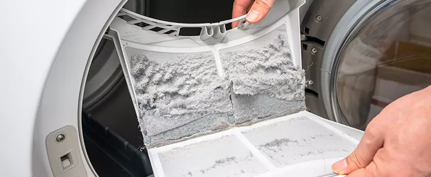 Best Dryer Lint Removal Company in Center Point, Alabama
