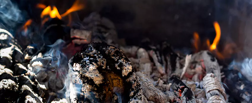 Creosote Removal Experts in Center Point, AL