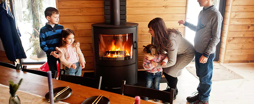 Jøtul Gas Fireplace Inspection Service in Center Point, Alabama