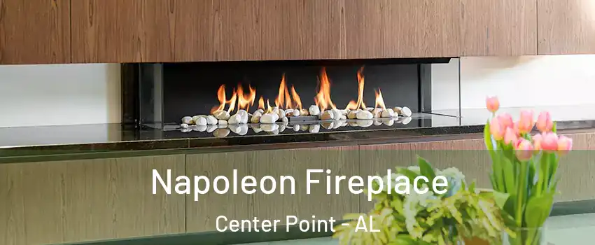  Napoleon Fireplace Center Point - AL